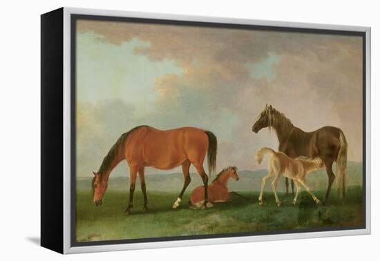 Mares and Foals-Sawrey Gilpin-Framed Premier Image Canvas