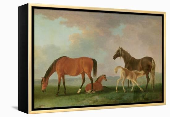 Mares and Foals-Sawrey Gilpin-Framed Premier Image Canvas