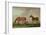 Mares and Foals-Sawrey Gilpin-Framed Giclee Print