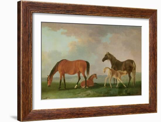 Mares and Foals-Sawrey Gilpin-Framed Giclee Print