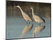 Premium Photographic Print