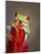 Photographic Print