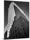 Premium Photographic Print
