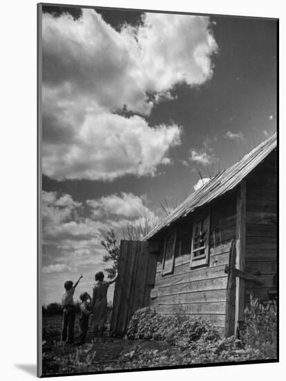 Photographic Print, , large