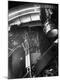 Premium Photographic Print