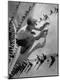Photographic Print