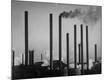Photographic Print