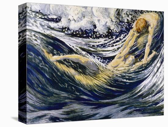 Stretched Canvas Print, , large