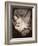 Margaret Frances Langton Clarke, 1864, Printed C.1866-Lewis Carroll-Framed Photographic Print