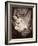 Margaret Frances Langton Clarke, 1864, Printed C.1866-Lewis Carroll-Framed Photographic Print