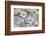 Margarites Blossoms, Stones, Still Life-Andrea Haase-Framed Photographic Print