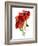 Margie's Poppy Duo, 2012-Julia McLemore-Framed Photographic Print