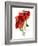 Margie's Poppy Duo, 2012-Julia McLemore-Framed Photographic Print