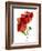 Margie's Poppy Duo, 2012-Julia McLemore-Framed Photographic Print