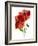 Margie's Poppy Duo, 2012-Julia McLemore-Framed Photographic Print