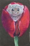Door Mouse in Tulip, 2022 (Pastel)-Margo Starkey-Giclee Print