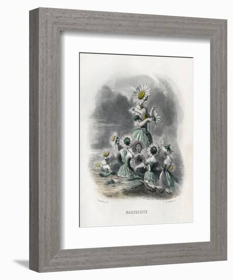 Marguerite (Daisy)-JJ Grandville-Framed Premium Giclee Print