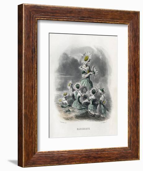 Marguerite (Daisy)-JJ Grandville-Framed Premium Giclee Print