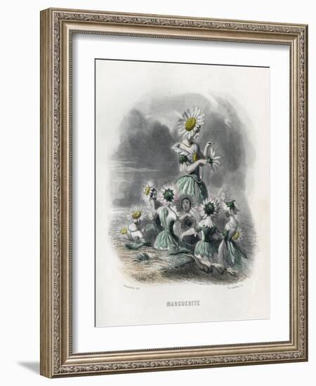 Marguerite (Daisy)-JJ Grandville-Framed Art Print