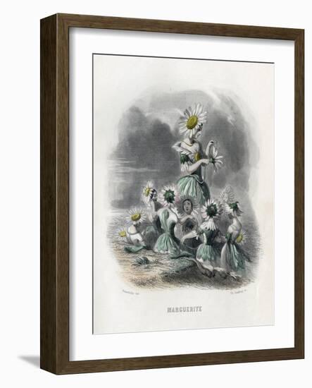 Marguerite (Daisy)-JJ Grandville-Framed Art Print