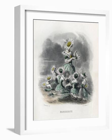 Marguerite (Daisy)-JJ Grandville-Framed Art Print