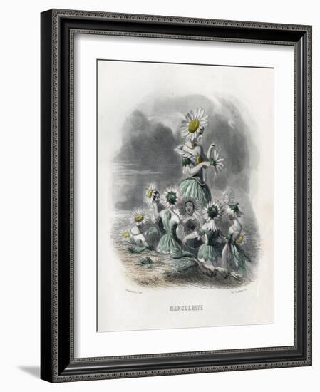 Marguerite (Daisy)-JJ Grandville-Framed Art Print