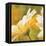 Marguerites dans le soleil 2-Pierre Viollet-Framed Stretched Canvas