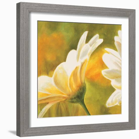 Marguerites dans le soleil 2-Pierre Viollet-Framed Art Print