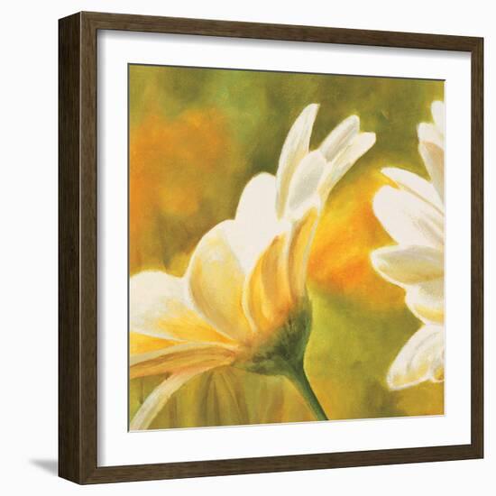 Marguerites dans le soleil 2-Pierre Viollet-Framed Art Print