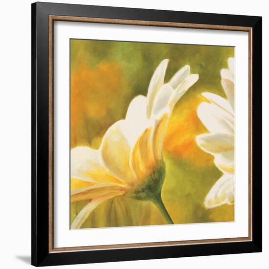 Marguerites dans le soleil 2-Pierre Viollet-Framed Art Print