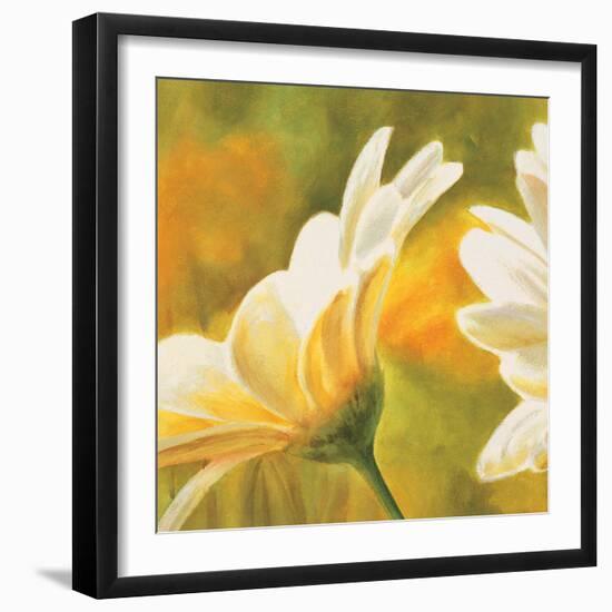 Marguerites dans le soleil 2-Pierre Viollet-Framed Art Print