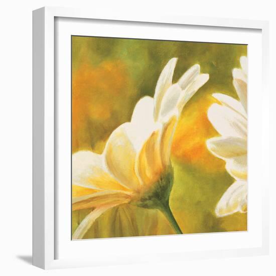 Marguerites dans le soleil 2-Pierre Viollet-Framed Art Print