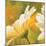 Marguerites dans le soleil 2-Pierre Viollet-Mounted Art Print