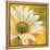Marguerites dans le soleil 3-Pierre Viollet-Framed Stretched Canvas