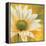 Marguerites dans le soleil 3-Pierre Viollet-Framed Stretched Canvas