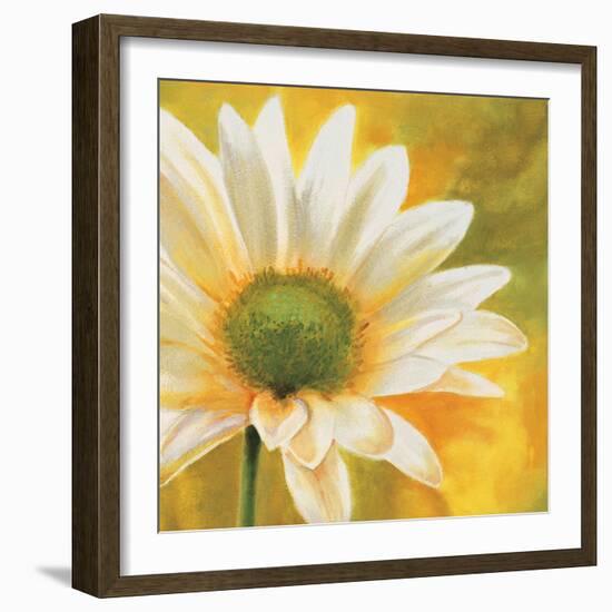 Marguerites dans le soleil 3-Pierre Viollet-Framed Art Print