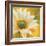 Marguerites dans le soleil 3-Pierre Viollet-Framed Art Print