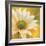 Marguerites dans le soleil 3-Pierre Viollet-Framed Art Print