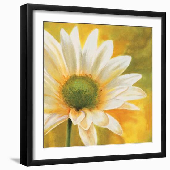 Marguerites dans le soleil 3-Pierre Viollet-Framed Art Print