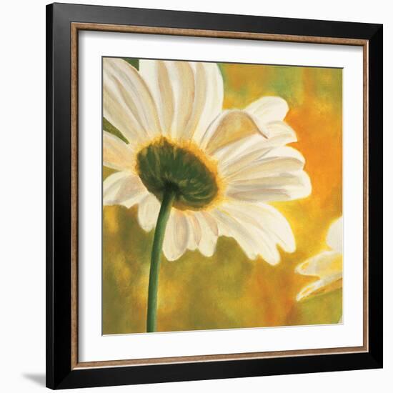 Marguerites dans le soleil I-Pierre Viollet-Framed Art Print