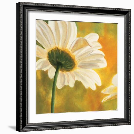 Marguerites dans le soleil I-Pierre Viollet-Framed Art Print