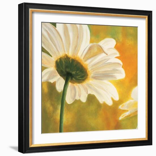 Marguerites dans le soleil I-Pierre Viollet-Framed Art Print