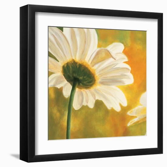 Marguerites dans le soleil I-Pierre Viollet-Framed Art Print