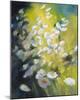 Marguerites dans un Champs-Genevieve Dolle-Mounted Giclee Print