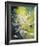 Marguerites dans un Champs-Genevieve Dolle-Framed Giclee Print