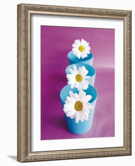 Marguerites-Amelie Vuillon-Framed Art Print