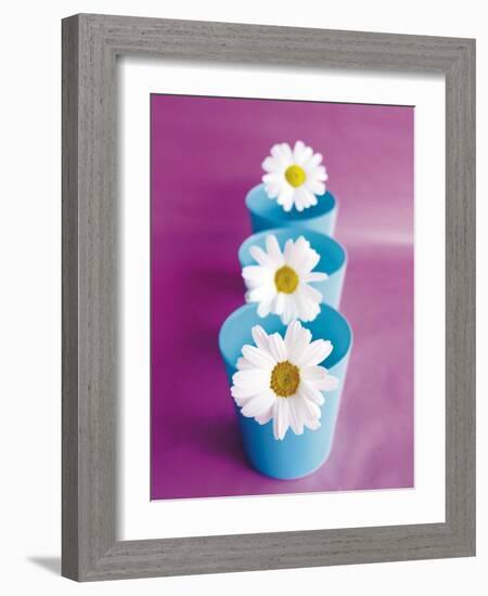 Marguerites-Amelie Vuillon-Framed Art Print