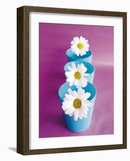 Marguerites-Amelie Vuillon-Framed Art Print