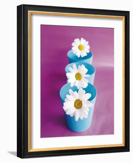 Marguerites-Amelie Vuillon-Framed Art Print