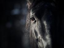 Horse Eye In Dark-mari_art-Stretched Canvas